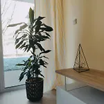 Przytulny Z Ogródkiem